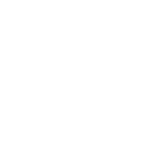 Icon Futuros Expertos en Ciberseguridad